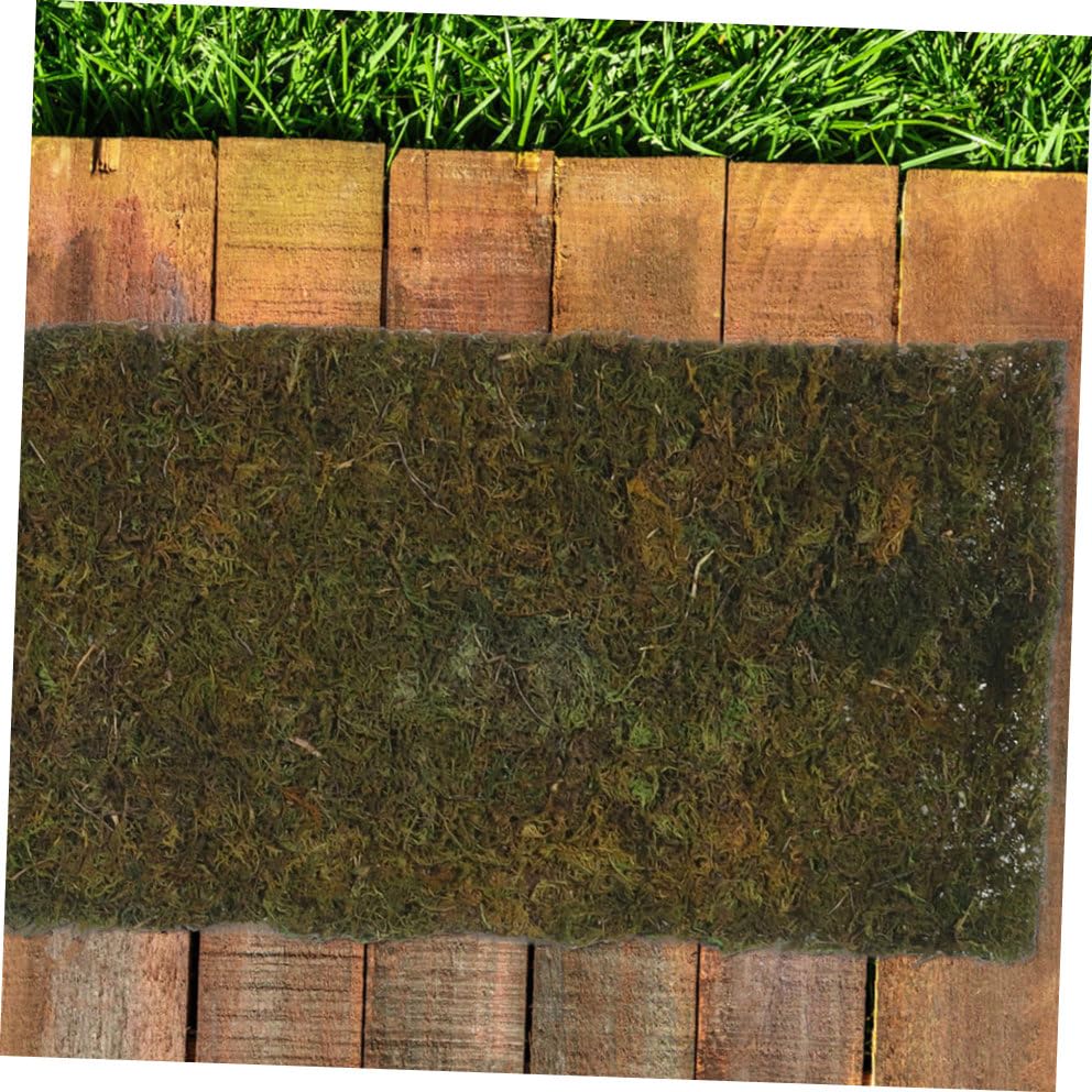 Mousse décorative pour intérieur et aménagement paysager de terrasse - 8