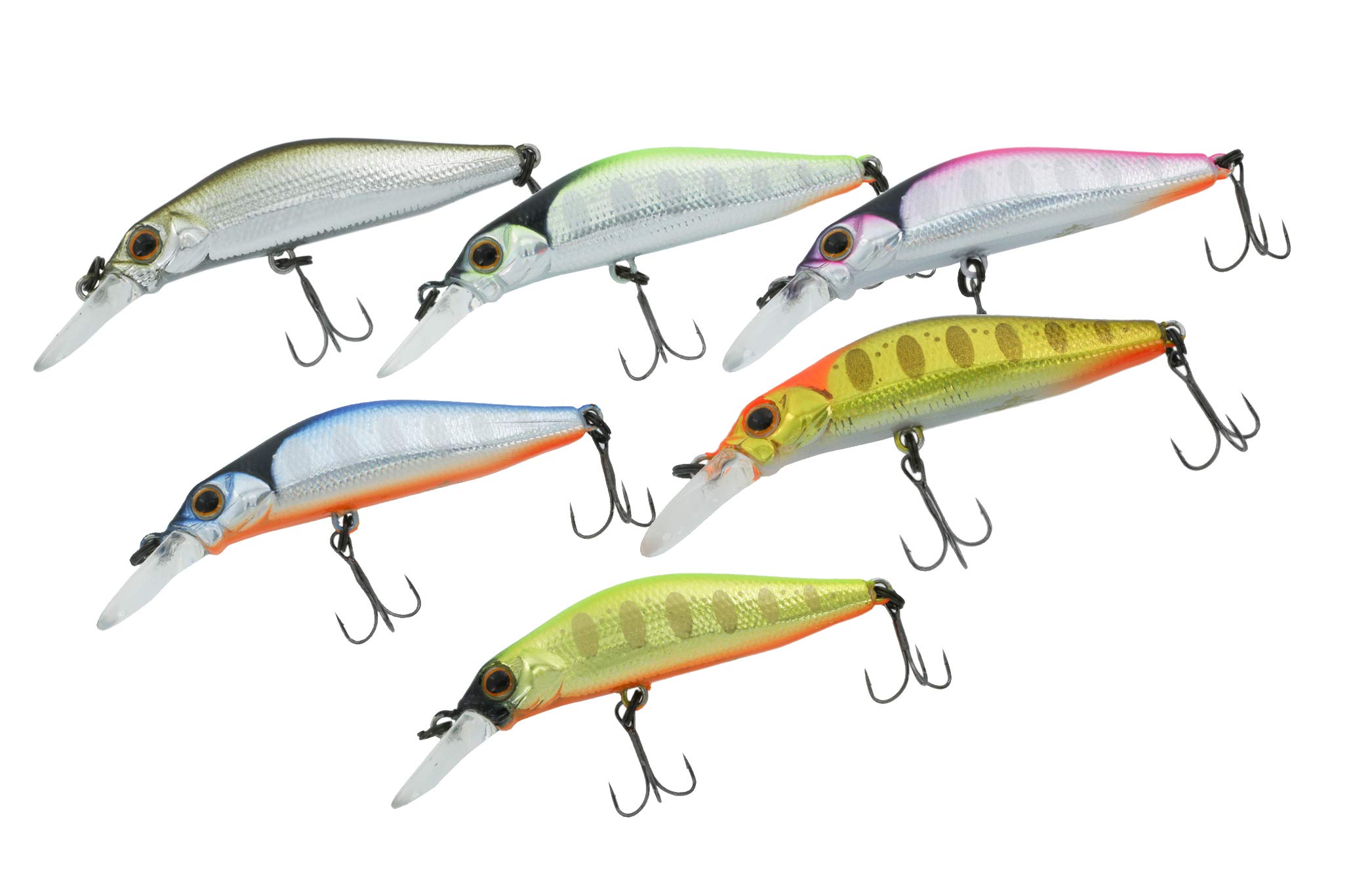 Amazon | 【ジョインター別注カラー】Jackson ジャクソン カナデ50