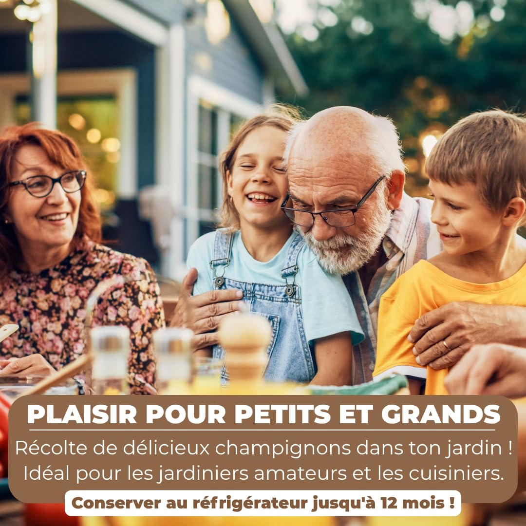 Hawlik Pilzbrut - Cheville Pleurotes en huître pour cultiver soi-même - 20 cheville avec mycélium de champignon