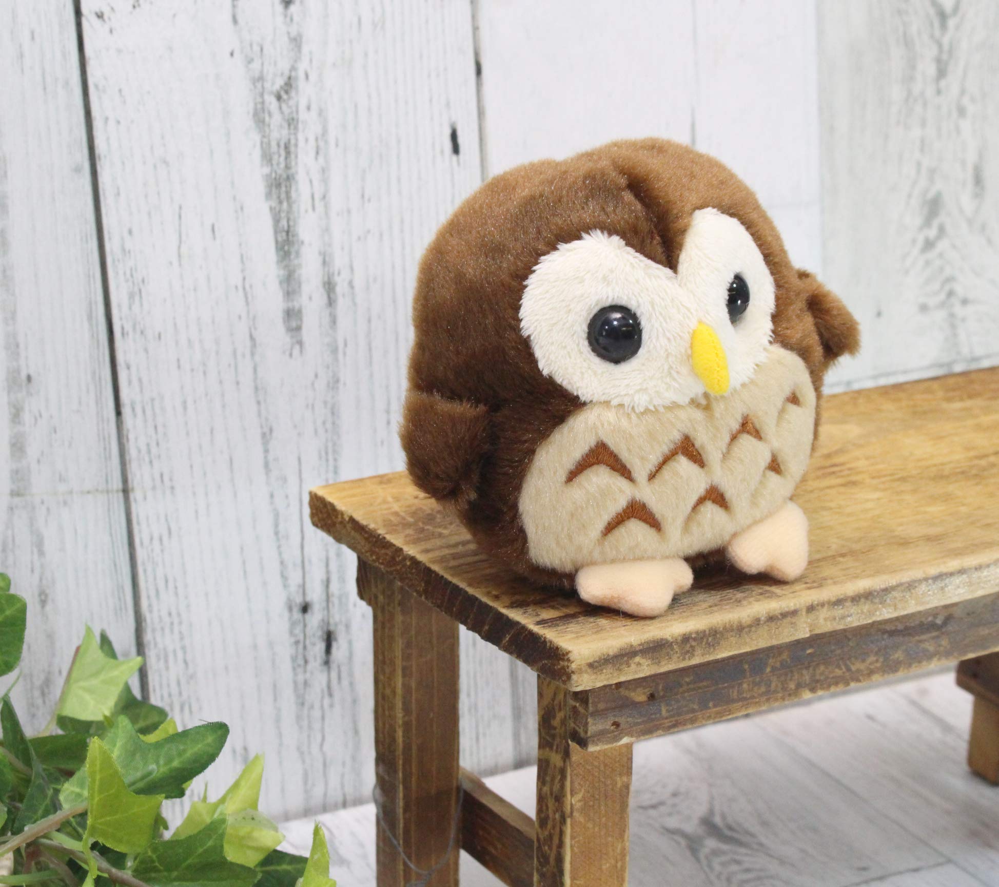 新品30弁♪夜空ノムコウオルフェウス320オルゴール