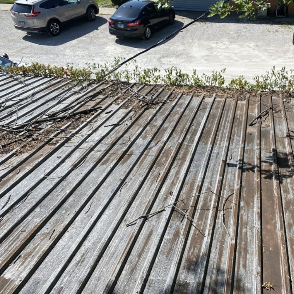 Sopgal Limpiador de Humedades para Tejados, Fachadas y Suelos 25L | Limpia en profundidad manchas y restos de humedad y la suciedad acumulada en tejados y fachadas antes de pintar.