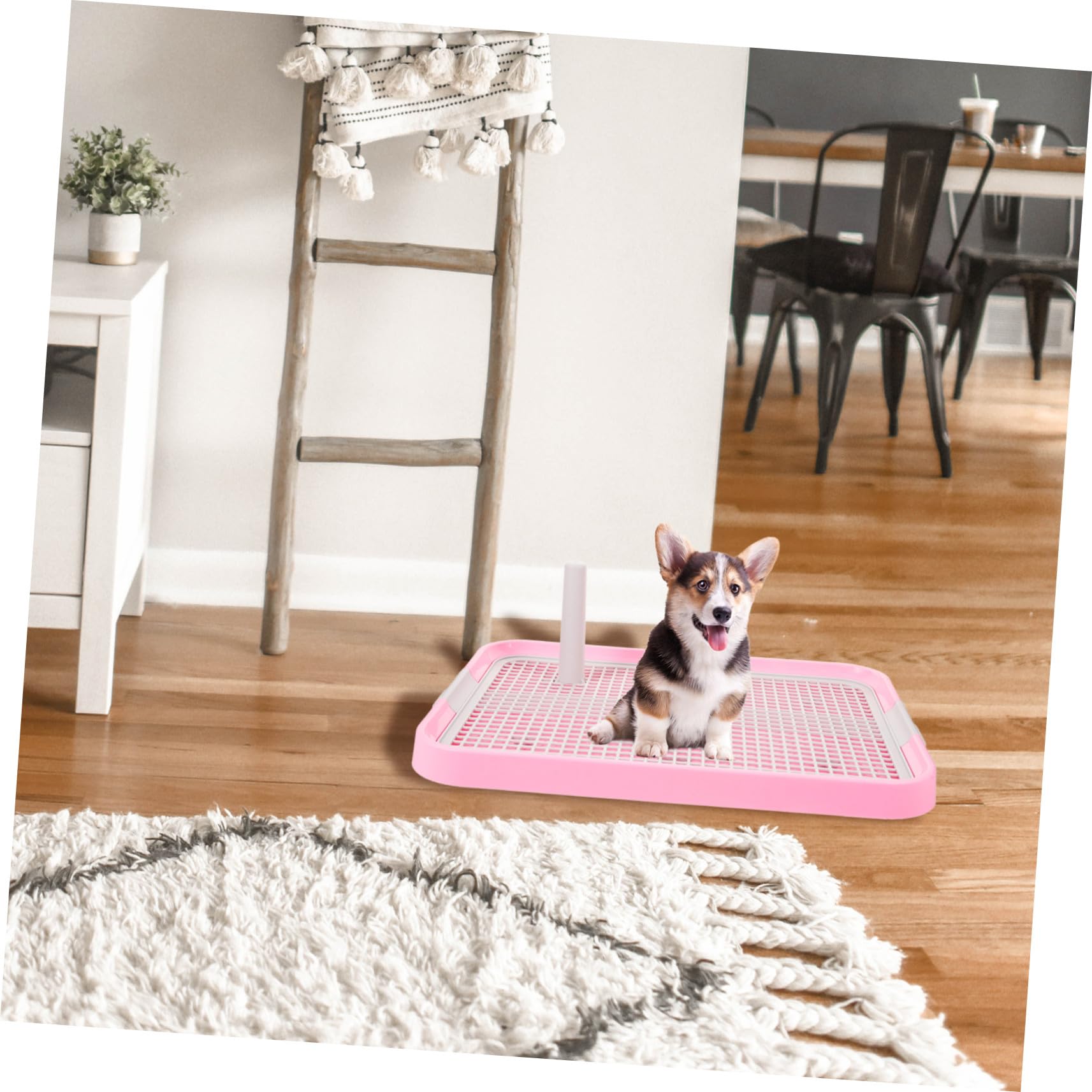 DOITOOL Toilette per Cani con Colonna Ergonomica e Antiscivolo Vasino Addestramento Cucciolotti di Taglia Piccola e Media Igienico e Facile da Pulire Rosa