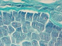 Review Image by RH RH