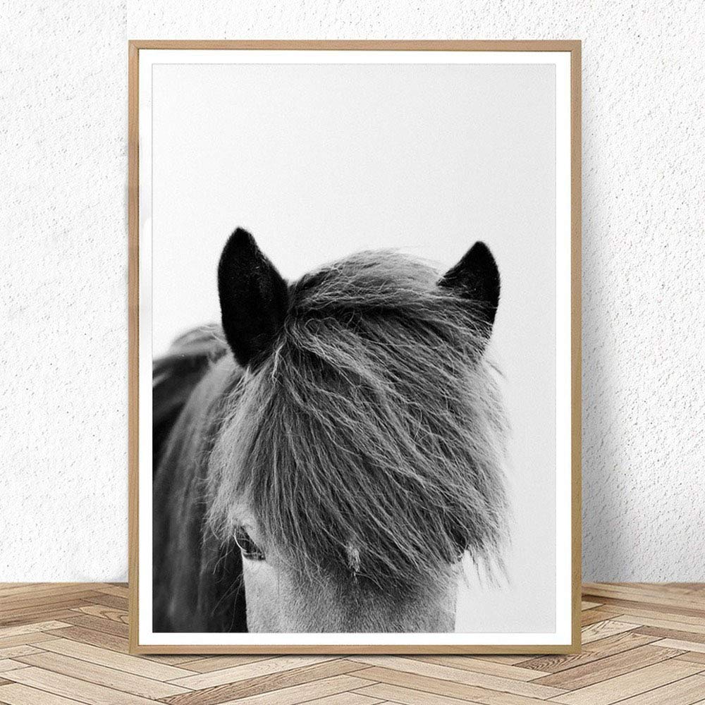 Lienzo de caballo blanco y negro de 40 x 60 cm para pared