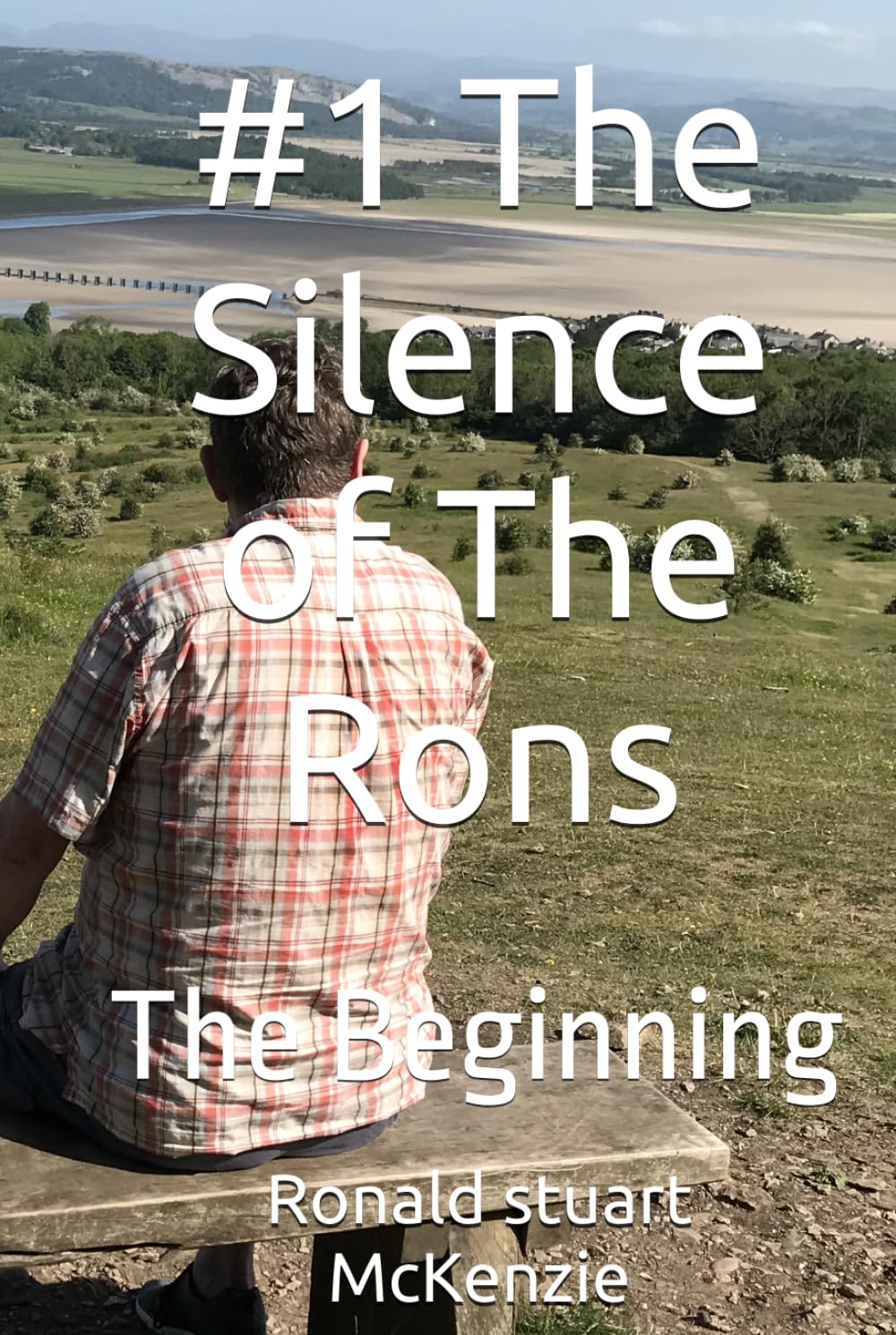 #1 The Silence of The Rons: The Beginning (The Chronic Chronicles of The Rons)