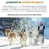 Ver la foto 4