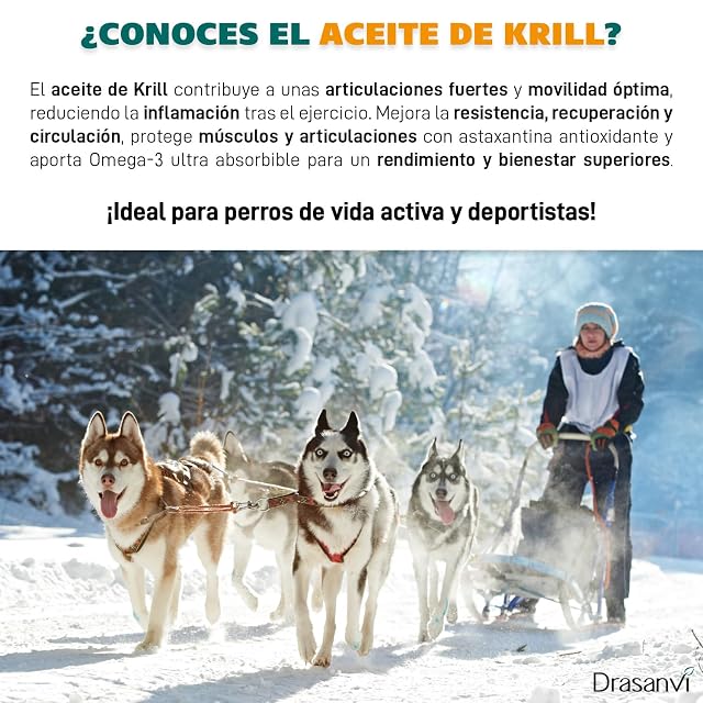 Foto 4 de 6 de Omega 3 Perros y Gatos Aceite de Krill para Articulaciones y Piel Drasanvi