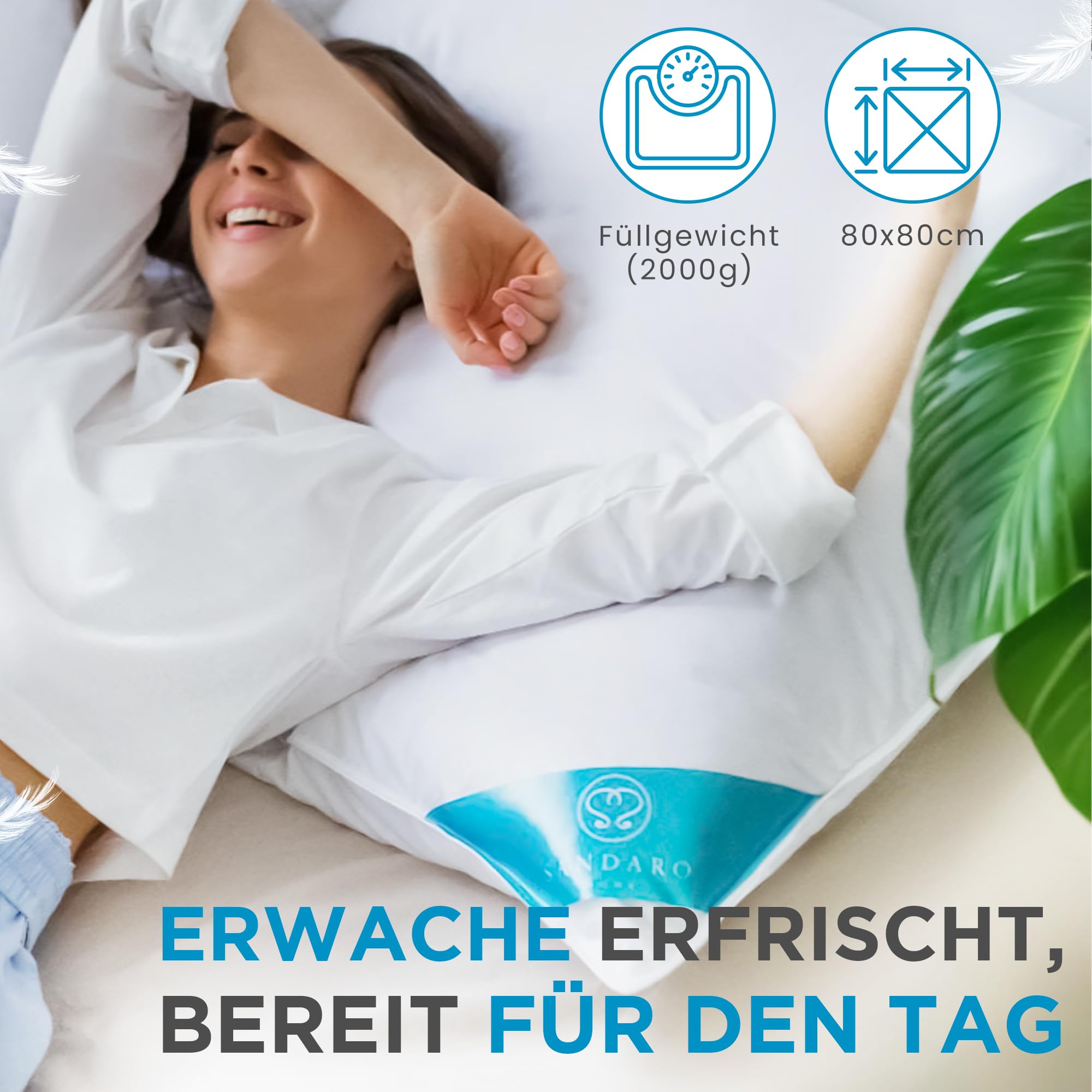 Federkissen 80 x 80 cm | Öko-Tex Zertifiziert Kissen 80x80 mit 100% natürlichen Federfüllungen nur, Kopfkissen 80x80 mit Gänsefedernfüllung im Baumwollbezug Für erholsamen Schlaf (2000)
