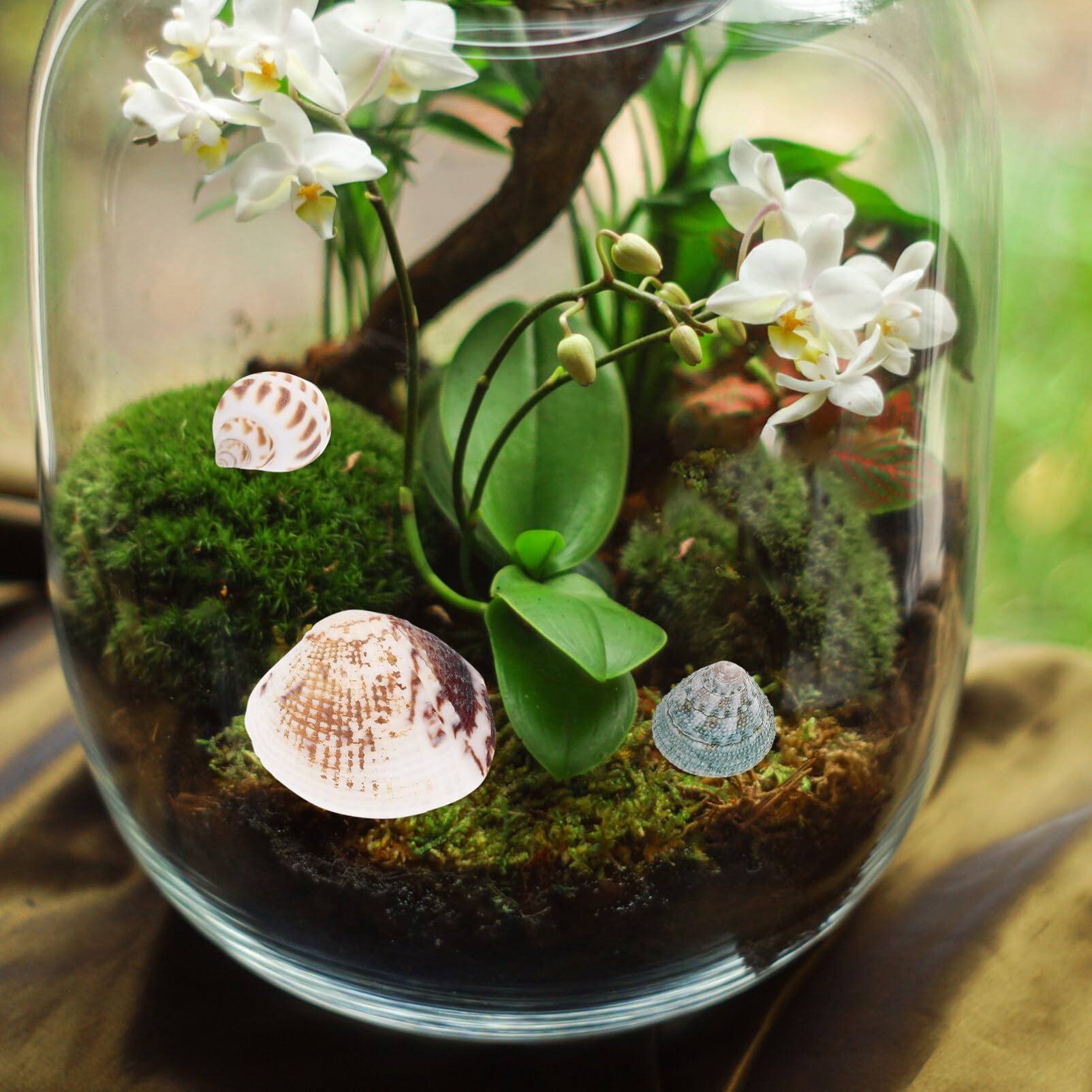 貝殻花瓶、工芸品 貝殻花瓶、工芸品