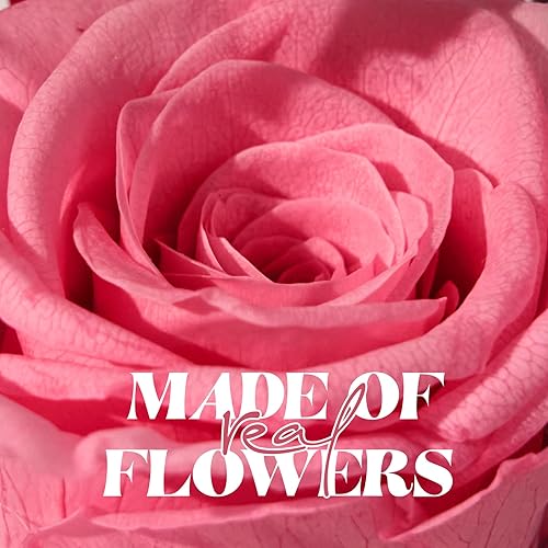 Miniatura 4 de Regalos de rosas preservadas para mujeres, flores eternas, rosas reales, regalo de cumpleaños para mamá, esposa, abuela, novia, en aniversario, día