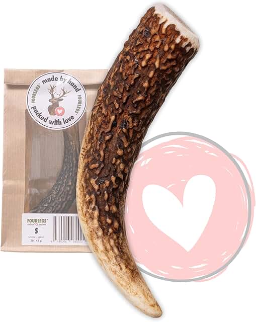 FOURLEGS® natürlicher Kausnack für Hunde aus 100% Hirschgeweih - Mineralstoffe, Kauspielzeug, Kaustange, Wildgeschmack, Geweih, Knochen, Hirsch, Kauartikel - Größe S ganz product image