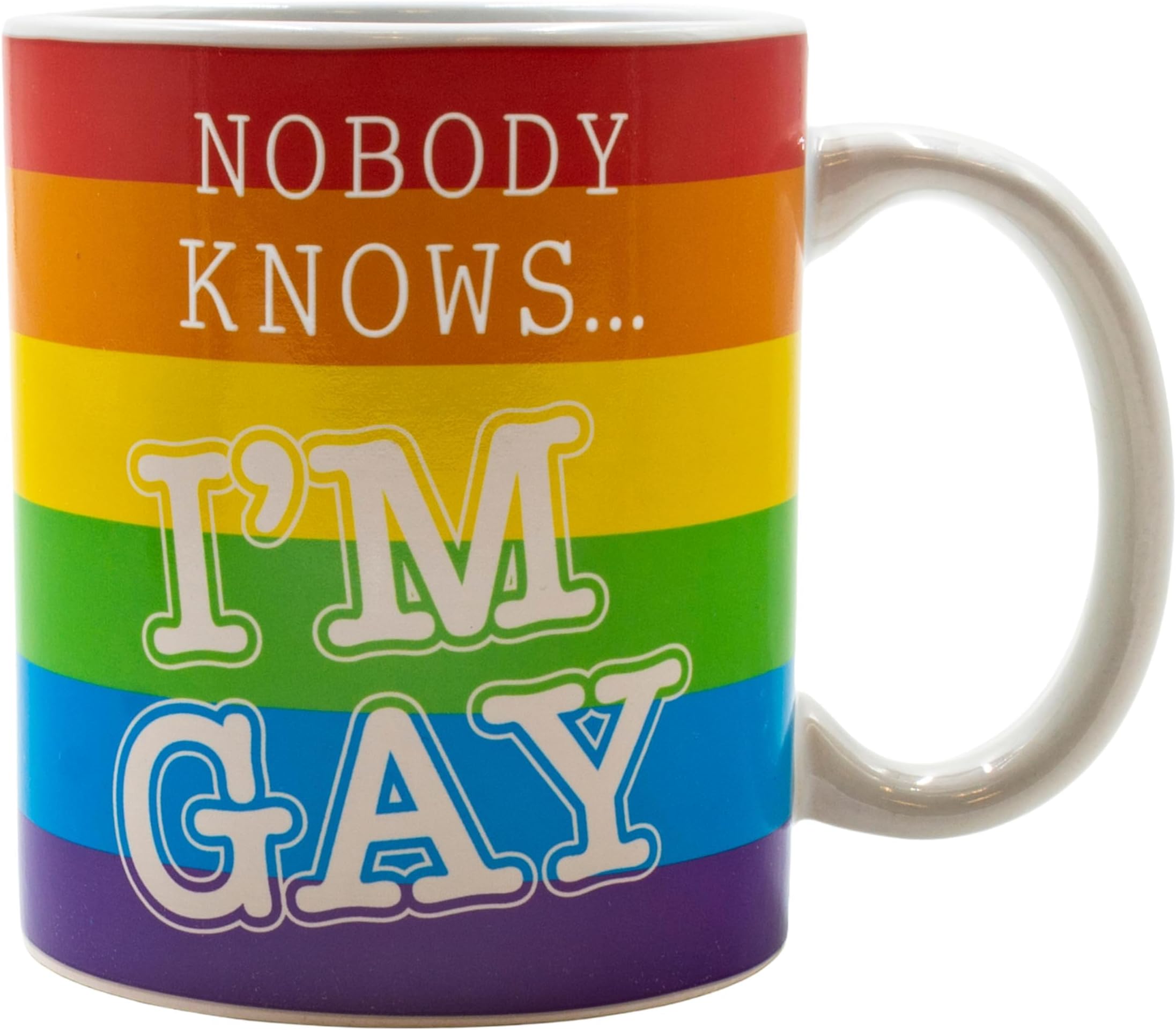 Nobody Knows I'm Gay Heat Changing Mug Novelty Mug
