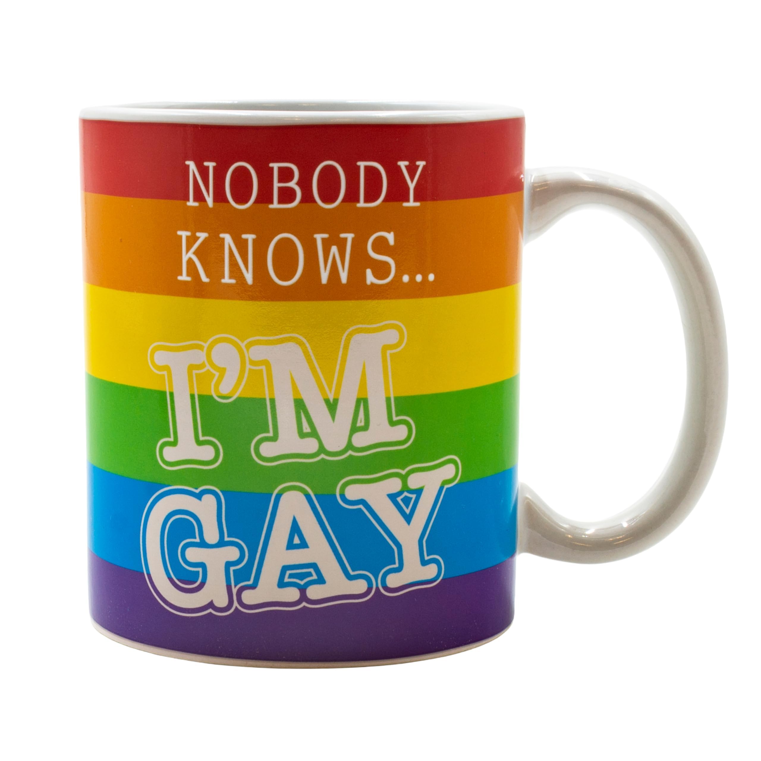 Fizz Creations Nobody Knows I'm Gay Heat Changing Mug Novelty Mug