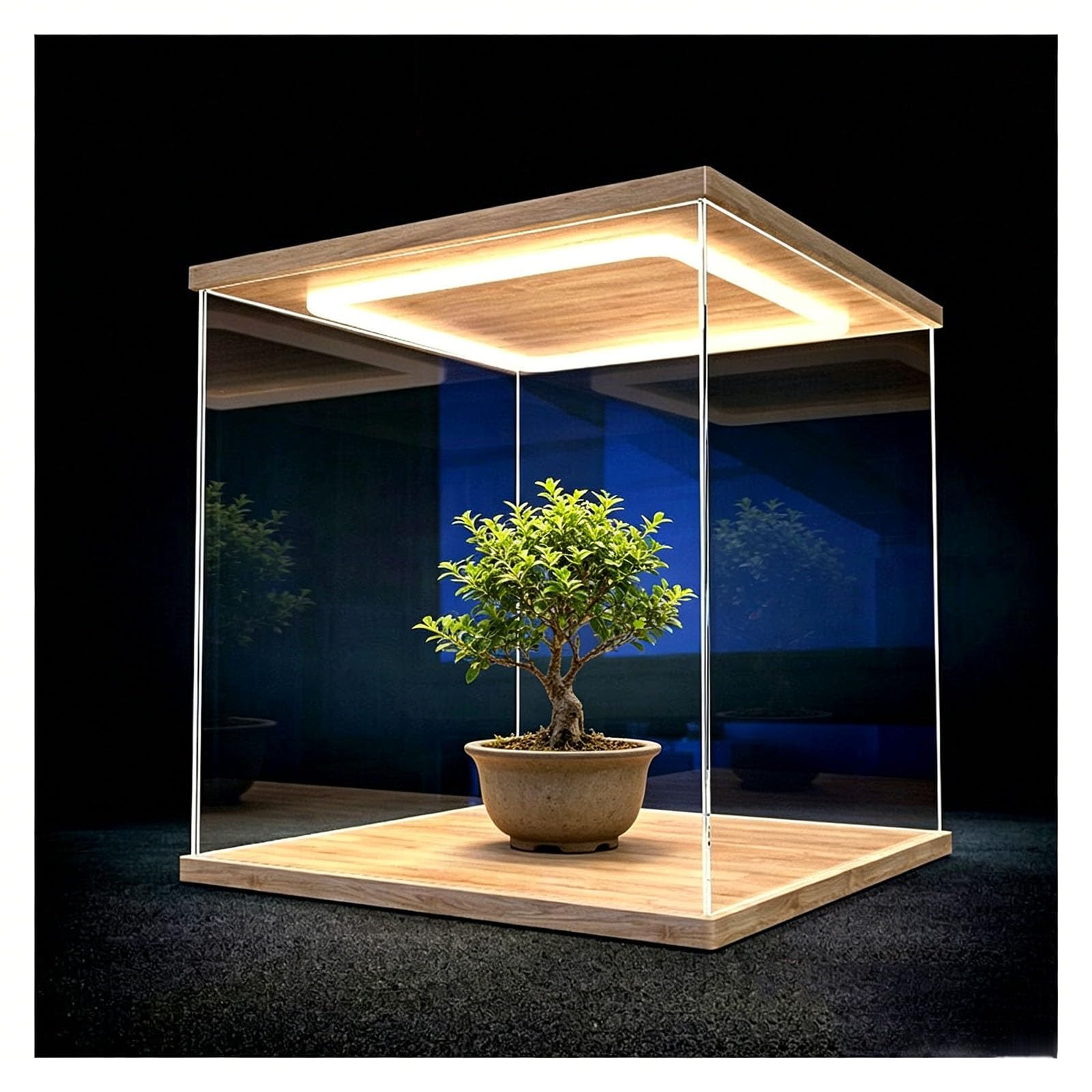 LED Lighted Acrylic Display Case for Collectibles, Transparent Dustproof Showcase Box, Stackable Storage Cabinet for Dolls/Models(20x20x20cm(8x8x8in))