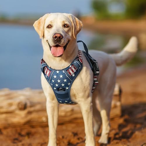 Vista 275 de rabbitgoo - Arnés antitirones para perro grande, con 2 aros para correa, acolchado suave, ajustable, tela Oxford, reflejante, no asfixia, chaleco