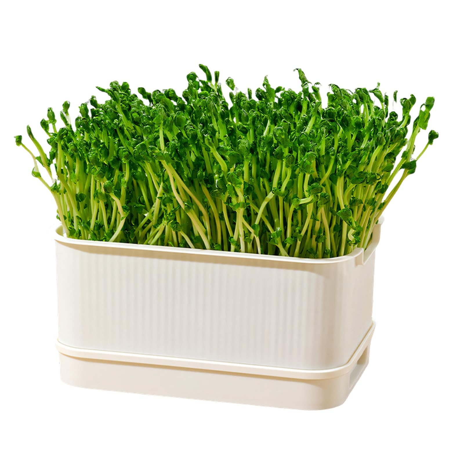 Ljhnba White Seedling Sprouts Tray Nursery Tray Saving Space Greenhouse Germination Set For Sprouts Planting Container Green Growing Hydroponic Sprouting