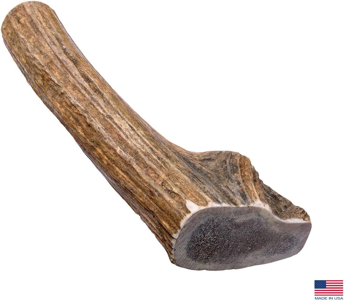 Elk Antlers for Dogs - Giant (XXL) 8 to 10 Inch Antler Dog Chew, Whole - USA Made All Natural Elk Dog Chews - Long Lasting Durable Chew Toys for Aggressive Chewers