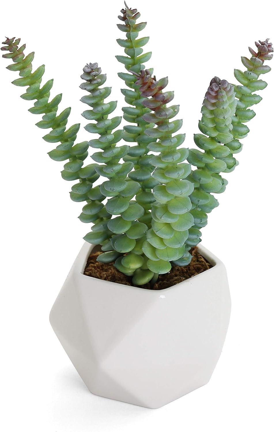 Bornbridge Artificial Succulent Fake Succulent in Planter