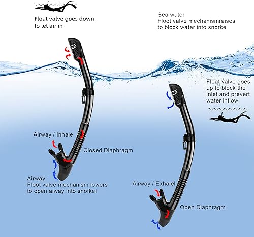 Miniatura 2 de JARDIN Dry Snorkel Set, Panoramic Wide View Snorkel Mask, Anti-Fog Tempered Glass Diving Mask, Free Breathing& Easy Adjustable Strap Scuba Mask,