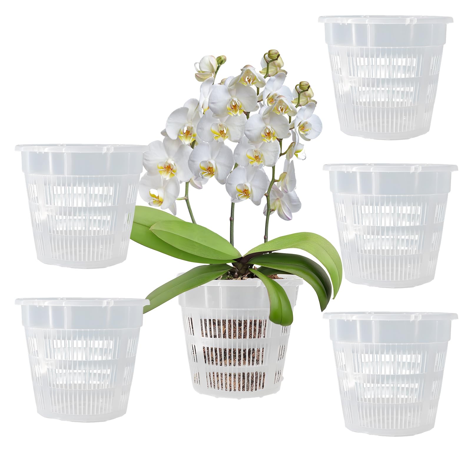 Macetas de Plástico Transparente,con Maceta de Plástico de Estomas,Ligera y Resistente,Maceta de Plástico con Agujeros de Aire para Jardinería en Casa, para Plantar Plantas en Macetas en Jardines