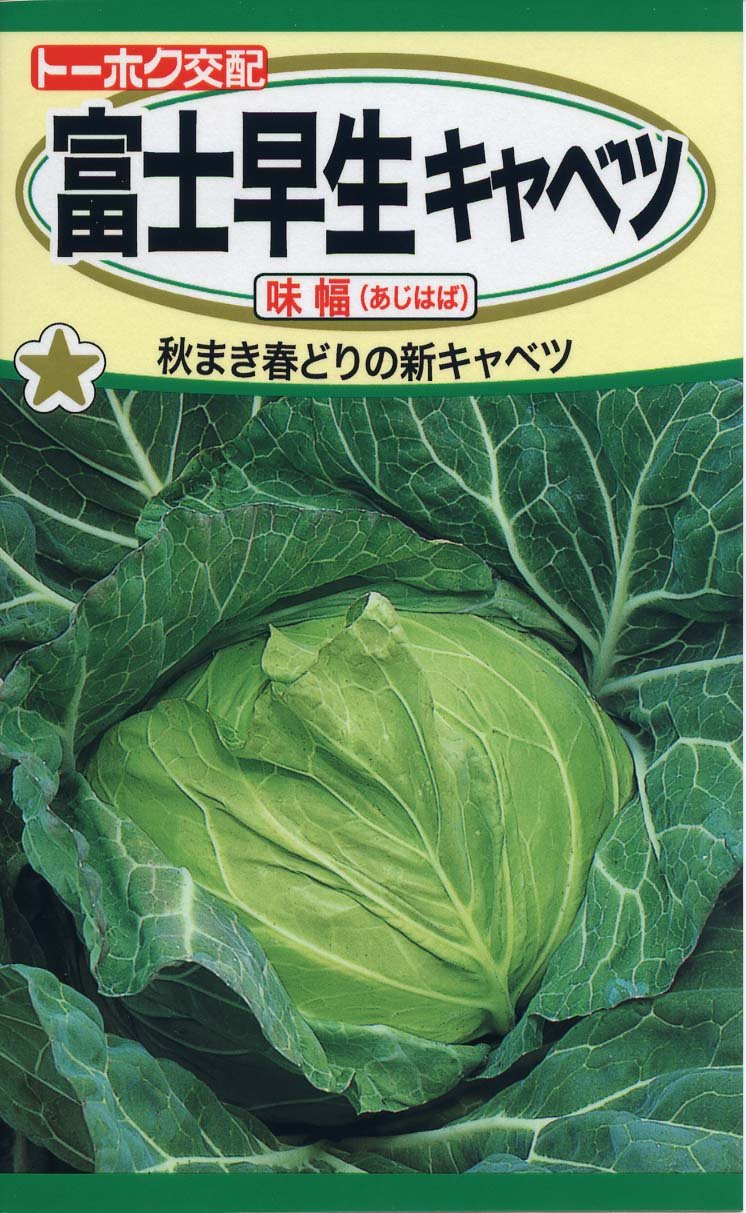 Amazon | 株式会社トーホク 富士早生キャベツ 味幅 03951 | 野菜