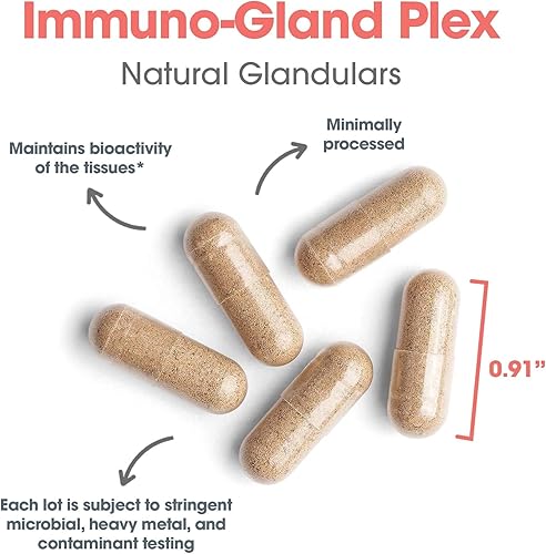 Miniatura 5 de Allergy Research Group Suplemento Immuno-Gland Plex Complejo de carne de órgano glandular alimentado con pasto, múltiples órganos, bazo de res,
