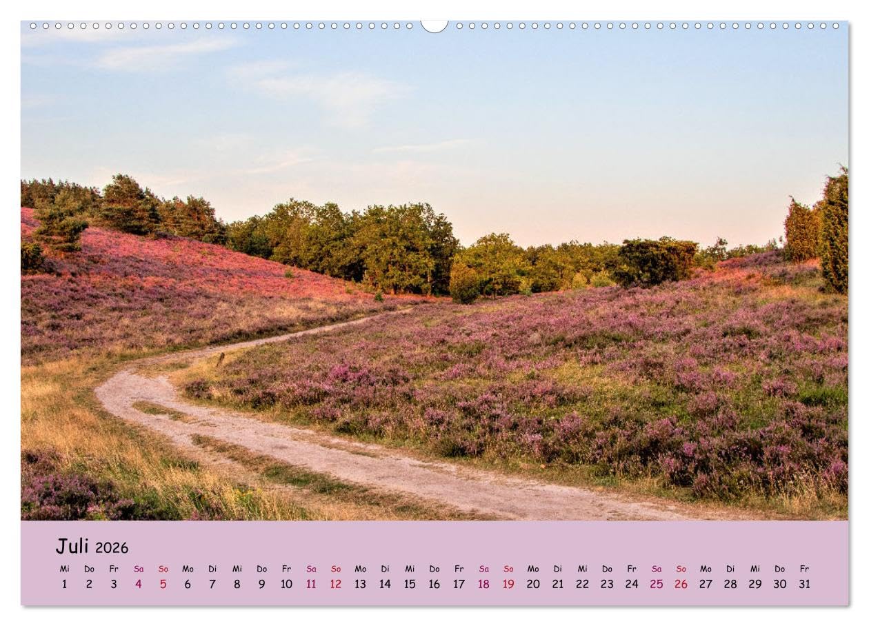 Lüneburger Heide Wege (hochwertiger Premium Wandkalender 2026 DIN A2 quer), Kunstdruck in Hochglanz: Einzigartige Heidelandschaft erleben (CALVENDO Natur)