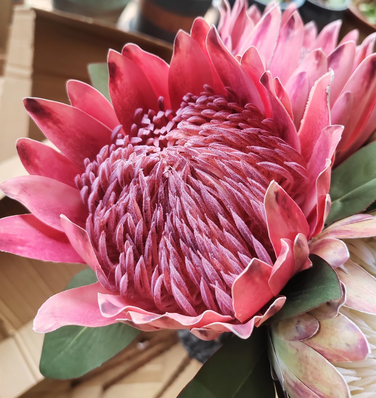 2 Pcs 21.65 Inch Big Artificial The King Protea Flowers Protea Cynaroides Artificial Flowers for Home Garden Wedding Party Office Decor (Rose Red)