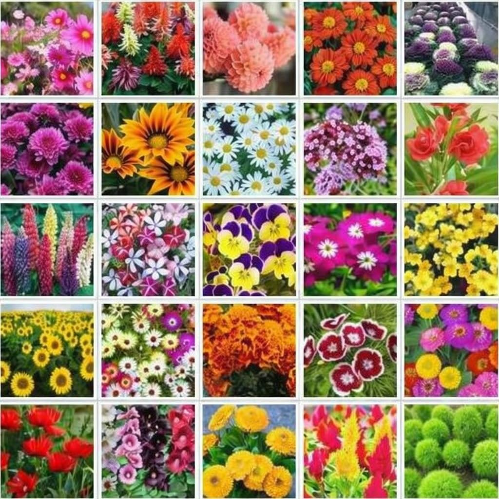 Mixed Flower Seeds Variety Pack, 20 Different Types, Garden Planting Collection with Sunflowers, Daisies, Lupines, Marigolds, Cosmos-image-27