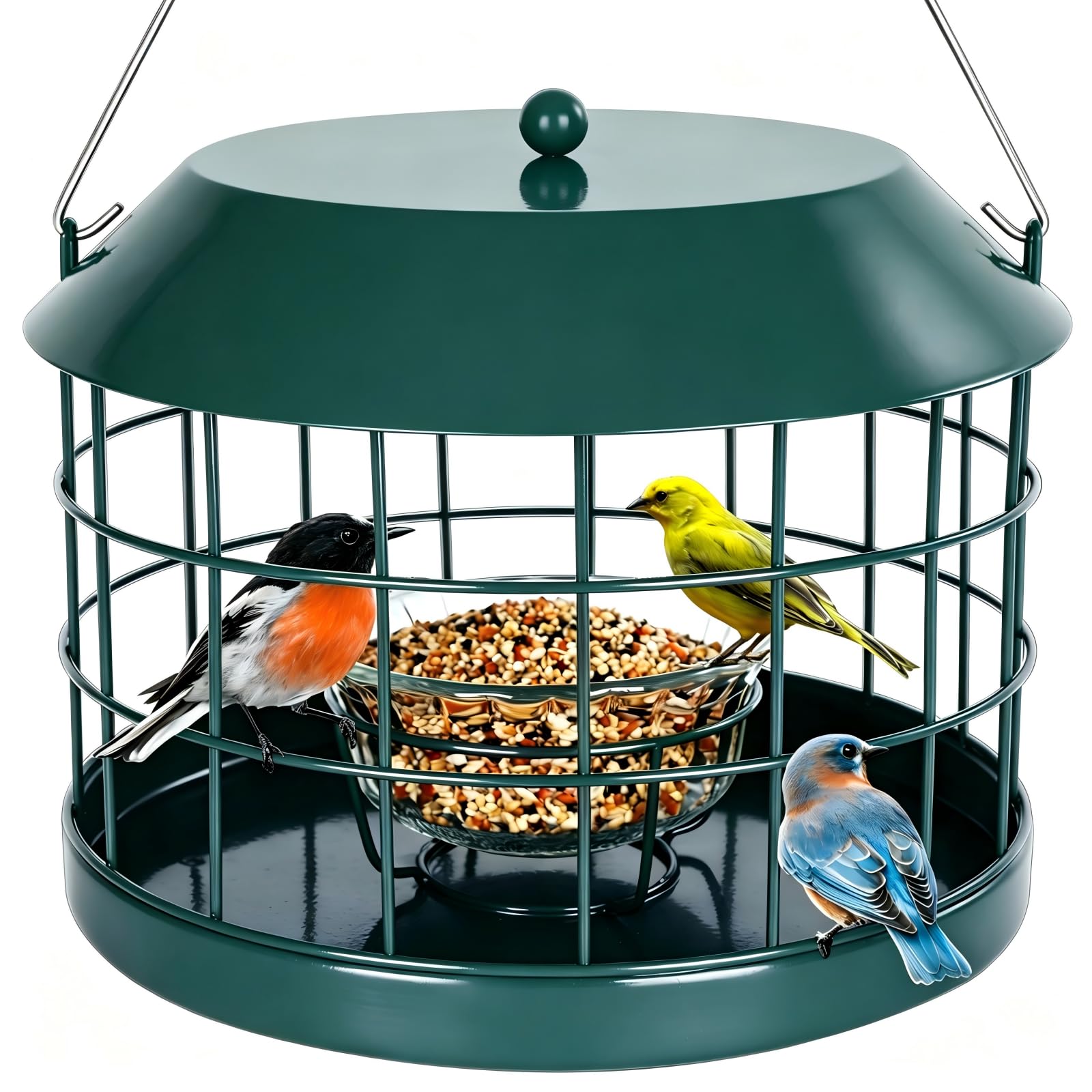 Gbekery Caged Bluebird Feeder for Mealworms
