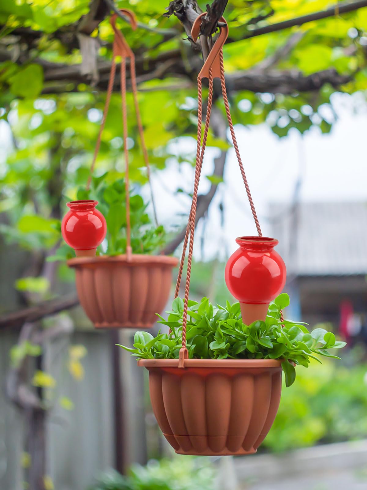 Kalolary Confezione da 4 Coni Autoirriganti in Terracotta, Globi Decorativi per Irrigazione Piante - Sistema Automatico di Innaffiatura per Piante da Interno ed Esterno (1, Bottiglia di Vino)