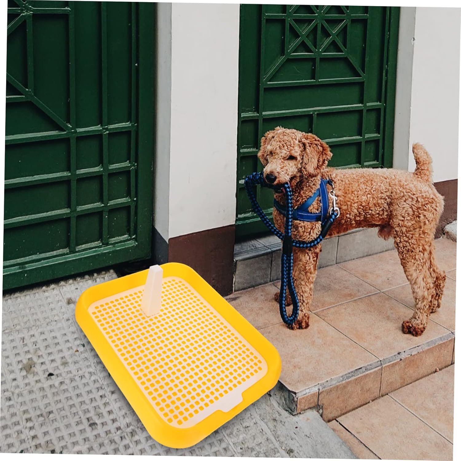 Puppy Indoor Toilet with Mesh Lightweight Plastic Dog Potty for Dogs Leak Design for Safe and Convenient Potty Training
