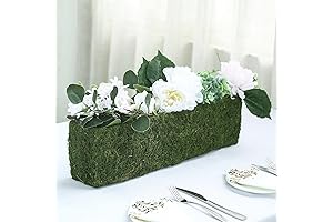 Efavormart Preserved Moss Planter Box: A Verdant Oasis for Your Space