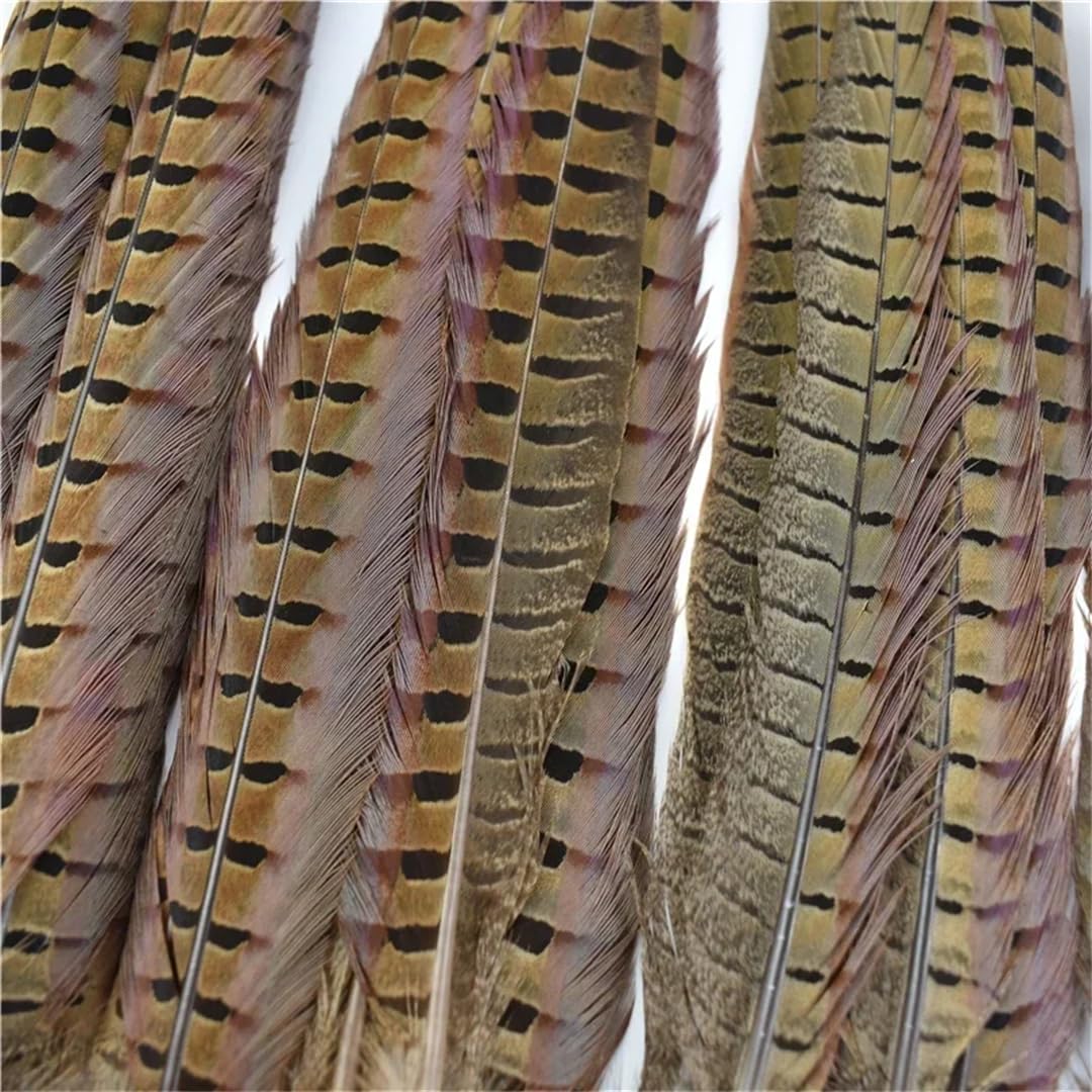 Lot de 50 plumes naturelles à longue queue de 10 à 75 cm pour travaux manuels, extensions de cheveux et décorations à faire soi-même
