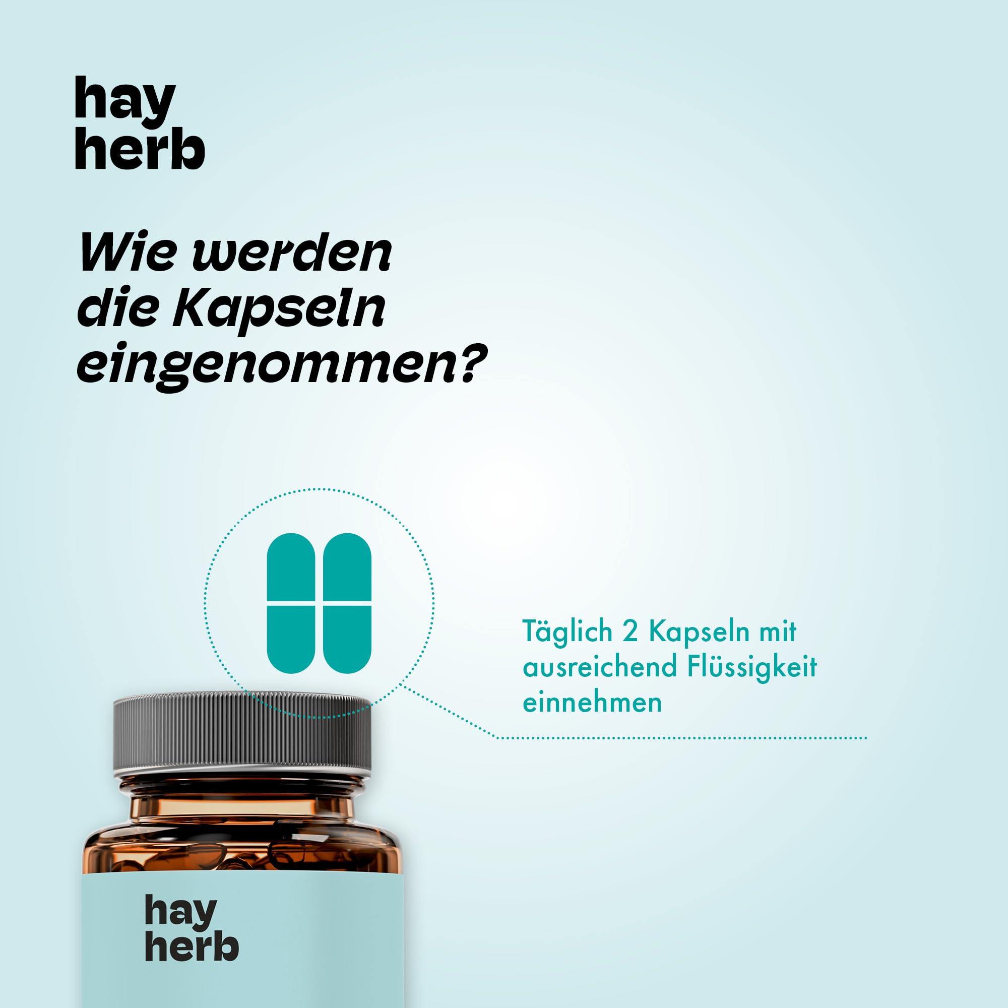 Longevity Komplex Kapseln 60 Stk. | All-In-One Komplettformel | Jungbrunnen für Körper & Geist | Mit PQQ und Grüntee - Age-Less-Effekt | 100% vegan | Hay Herb