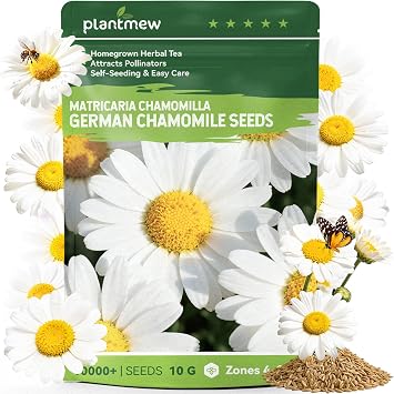 German Chamomile Seeds