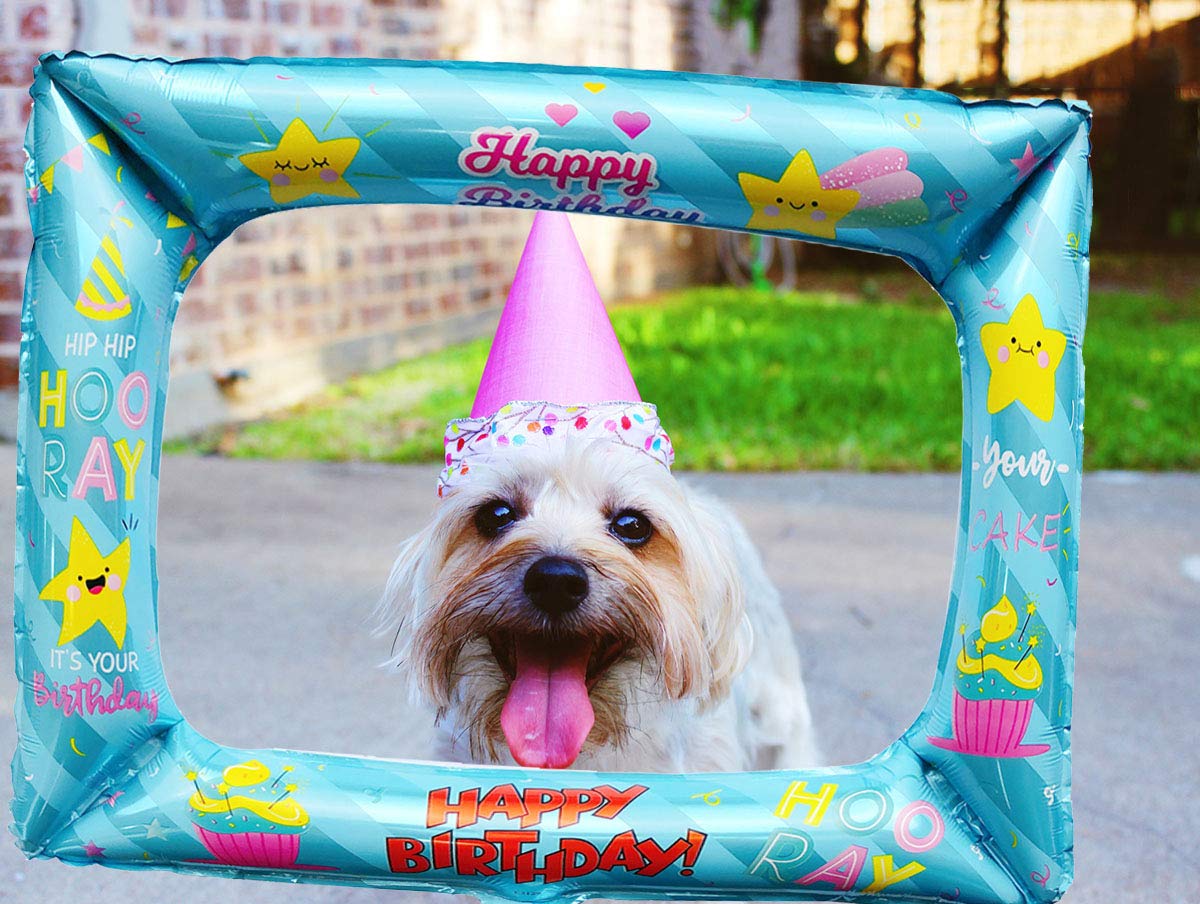 Buy Inflatable Picture Frames Happy Birthday Selfie Frame for Parties