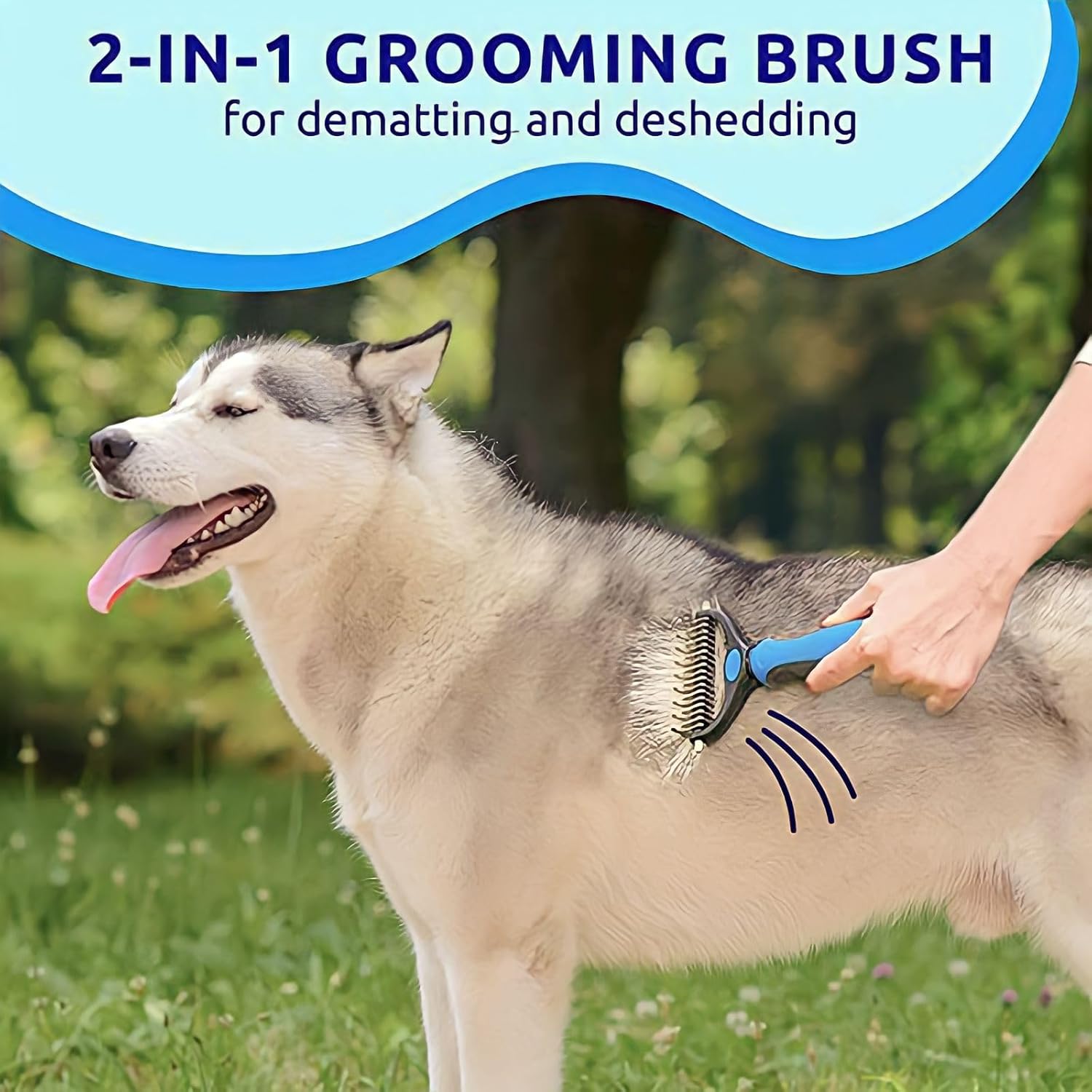 Generic Pet Dematting Comb - detail view