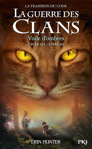 Couverture de Voile d'ombres