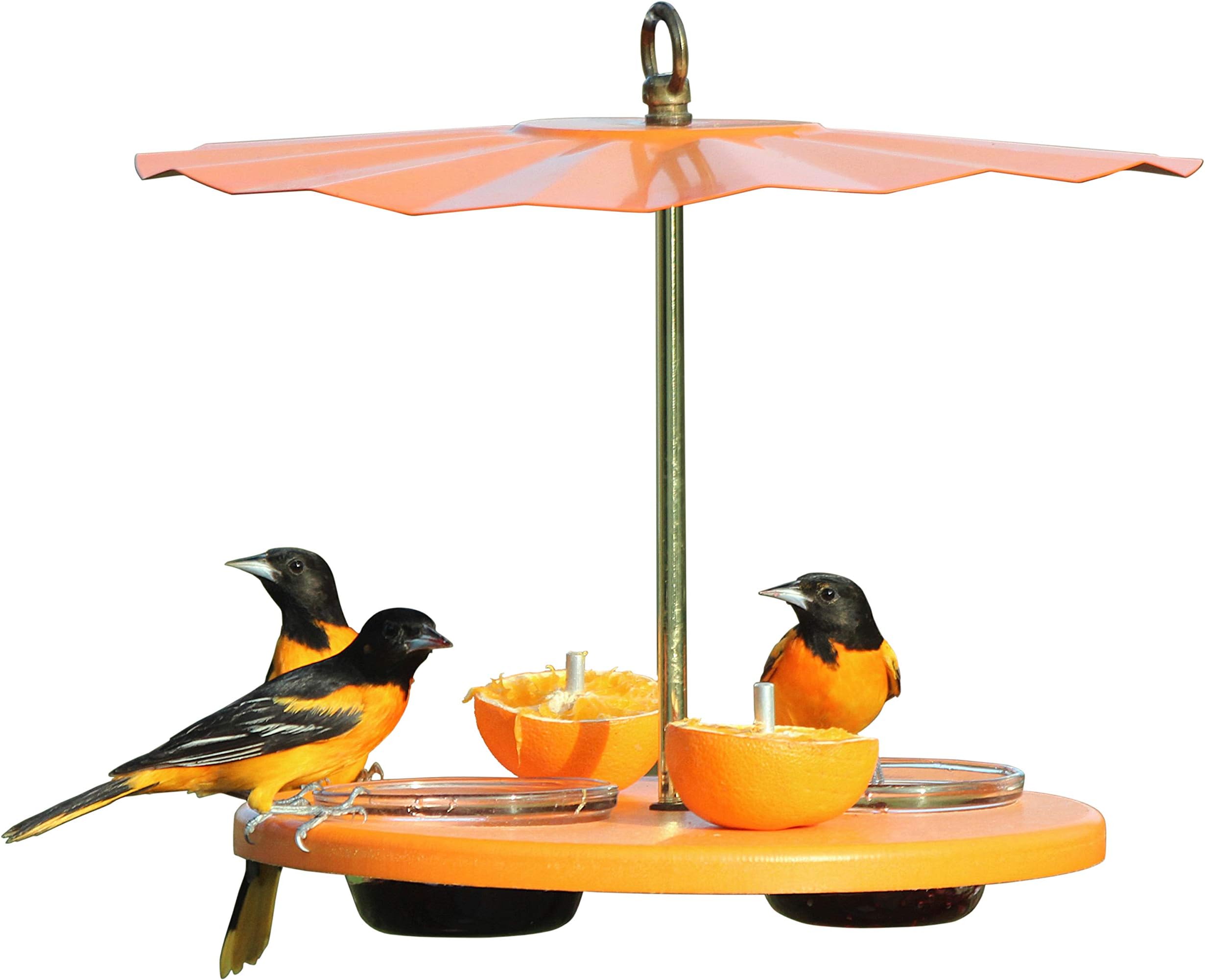 Kettle Moraine Super Oriole Recycled Orange Fruit, Jelly, Mealworm Bird Feeder w/Orange Roof