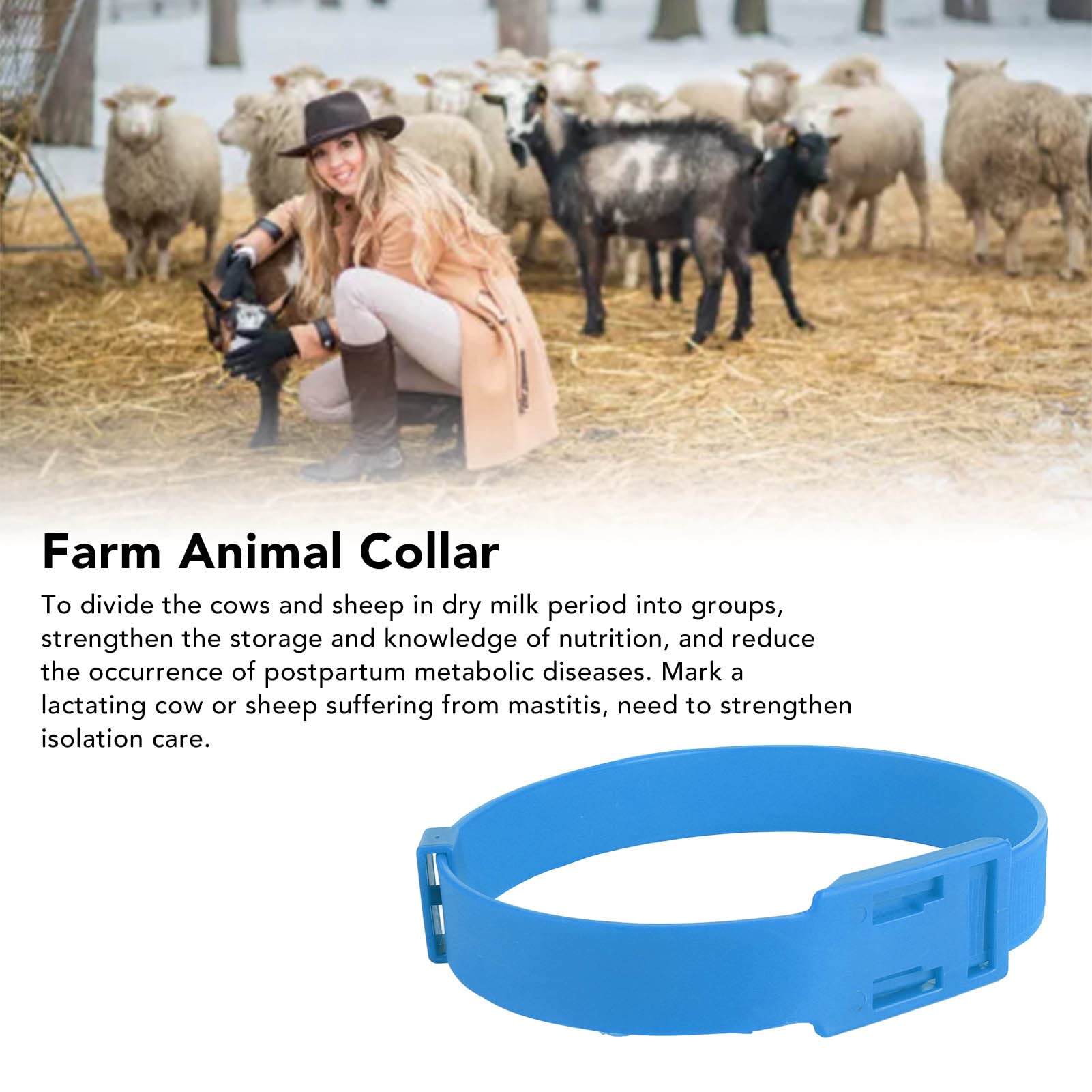 Collier Identification Couleur 23 Pouces en PU Réglable pour Vache Cheval Mouton Chèvre Bétail Ferme Élevage Surveillance Santé Suitable for Adulte et Jeune Animal