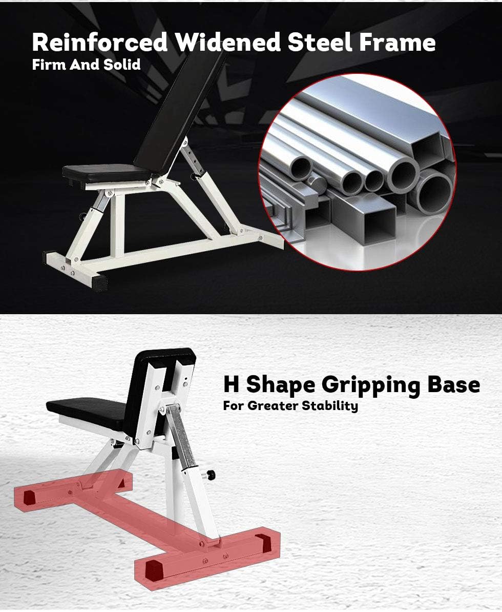 T&R sports Fitness RBT206 FID Bench Weight Press : Sports & Outdoors