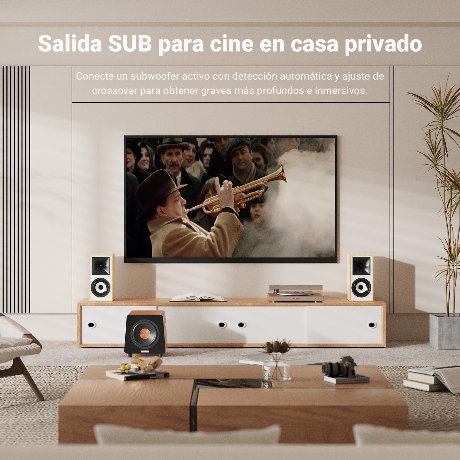 AIYIMA S4000 Monitores de Estudio Activos 4" 80 W RMS XLR/TRS/RCA