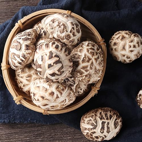 Miniatura 2 de Hongos Shiitake Hongo Premium Setas Shiitake Orgánicas Secas Micológicas,Champiñones Shiitake Premium secos (Hua gu-8.82 oz(0.55 libras))