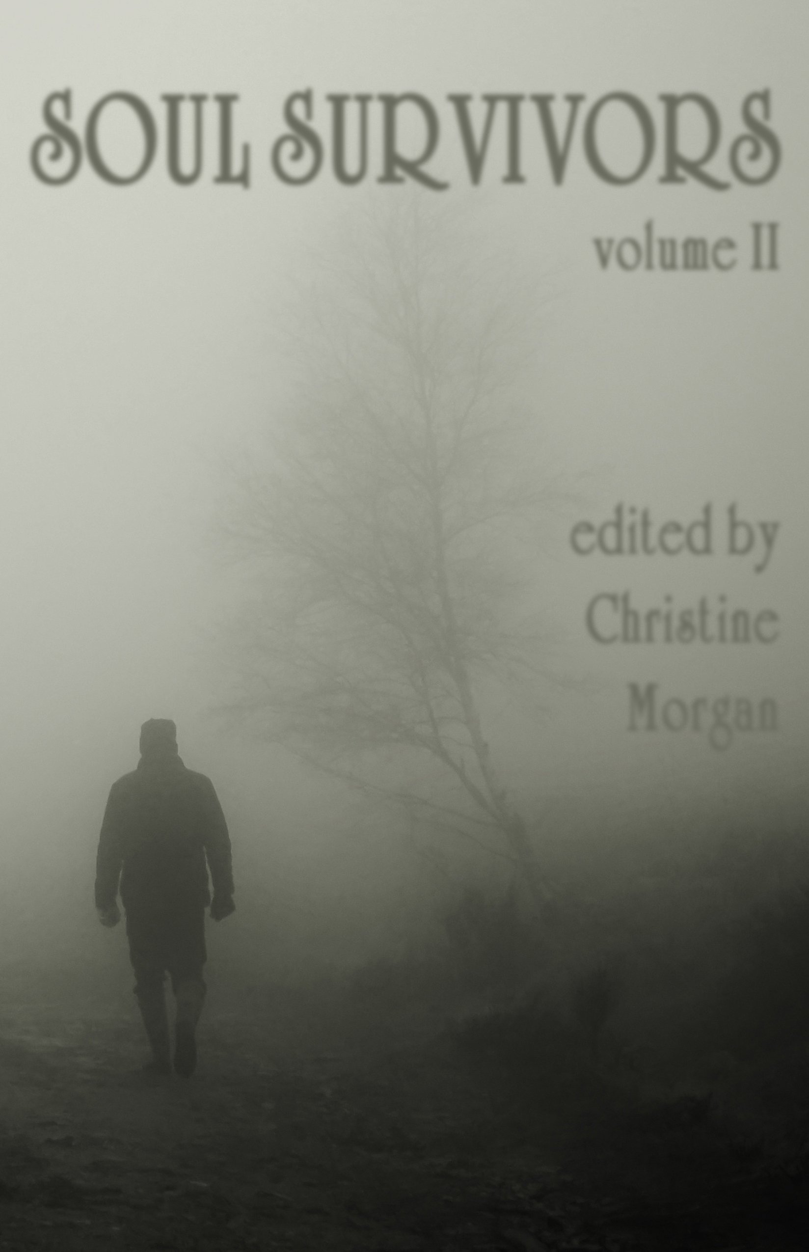 Soul Survivors Volume II