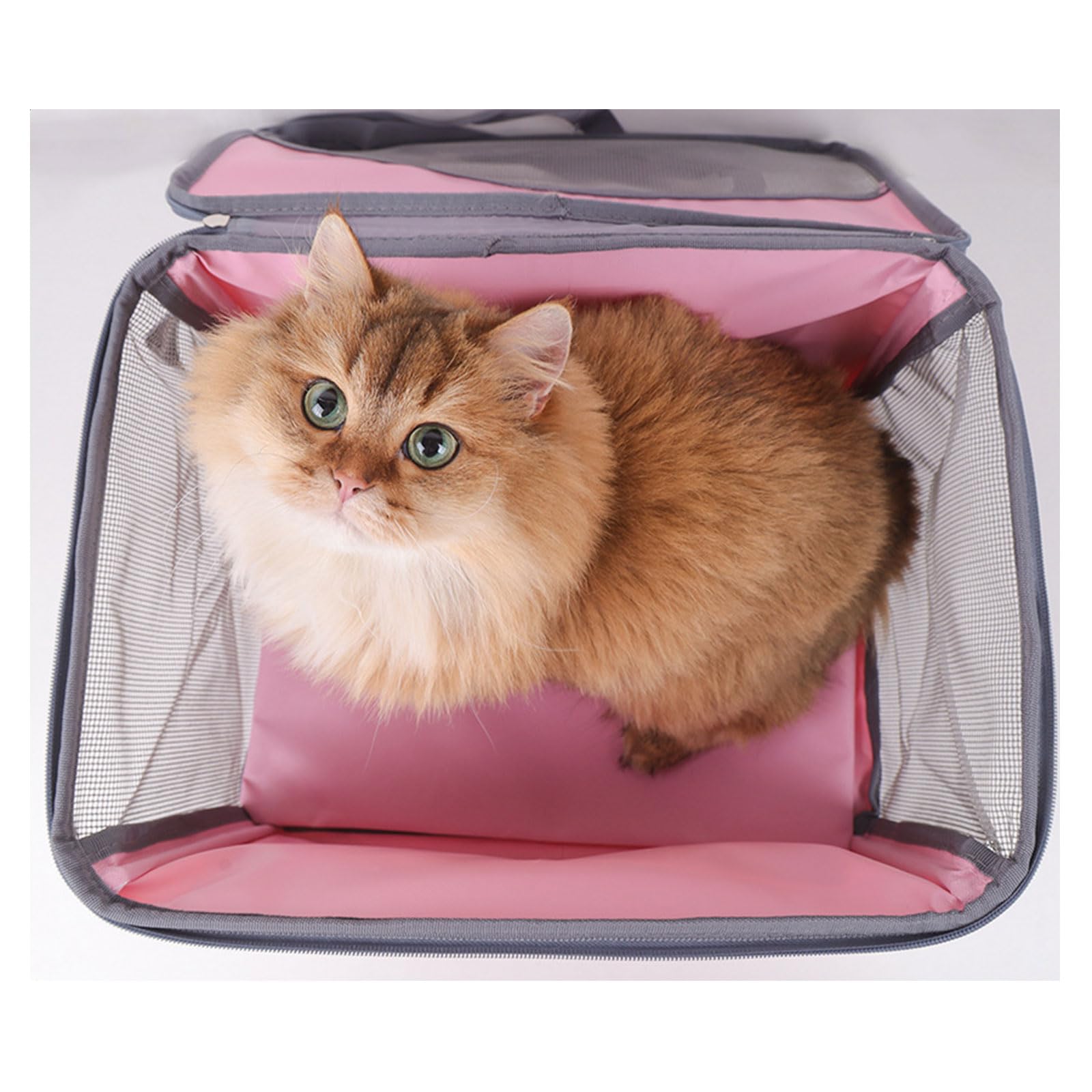 Trasportini per gatti per seggiolino auto Lettino per cani Trasportini per auto da viaggio all ' aperto Sedile turistico Borsa turistica con tasche multiple Borse da viaggio per animali domestici