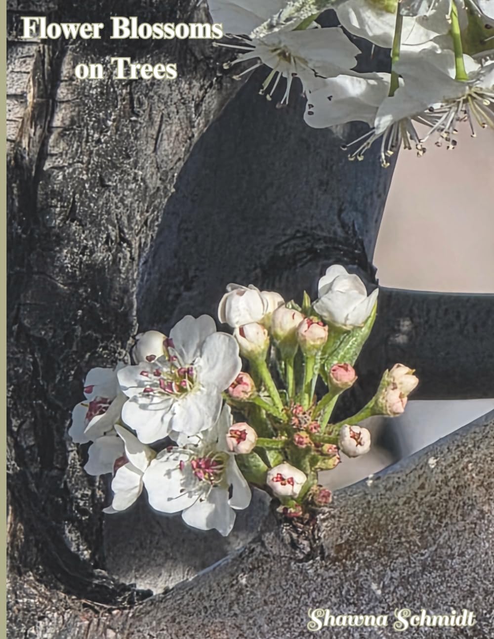 Flower Blossoms on Trees: Coffee Table Book