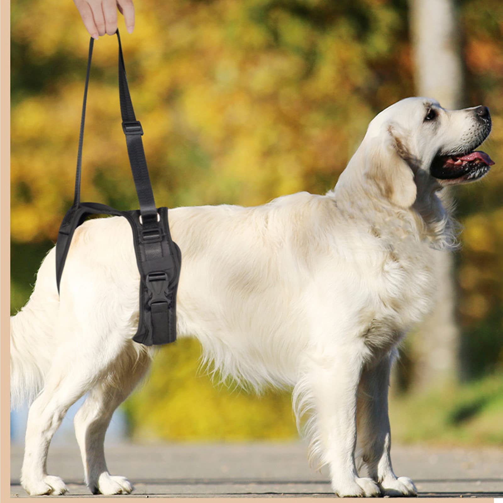 Amazon.co.jp: 介護ハーネス 老犬介護用 歩行補助ハーネス ドッグ