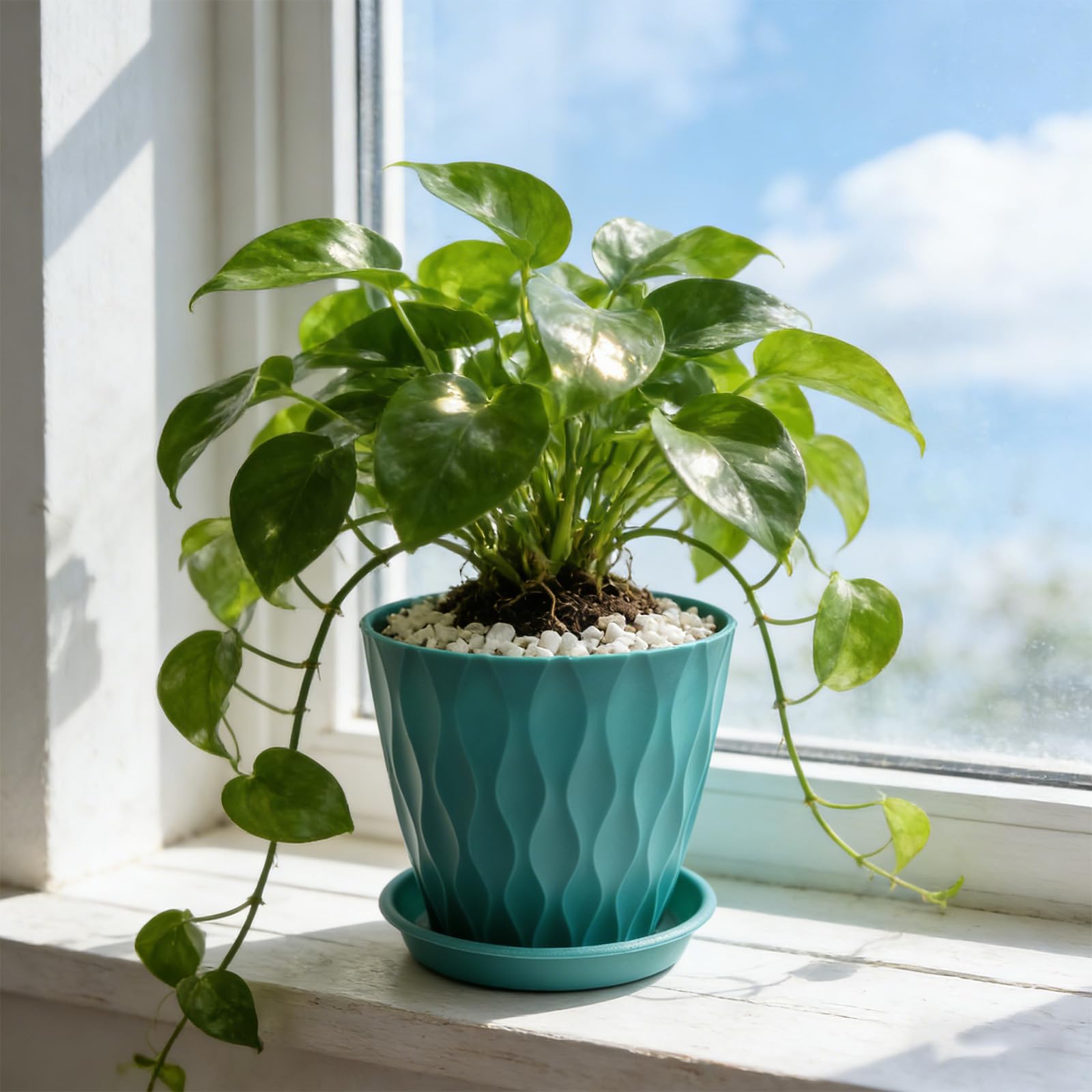 6 Pack Plastic Plant Pots 15cm/6-in Flower Pots with Drainage Holes and Tray Modern Decorative Planter Pot Indoor Outdoor Planters for All House Plants(6 Colour) — view 6