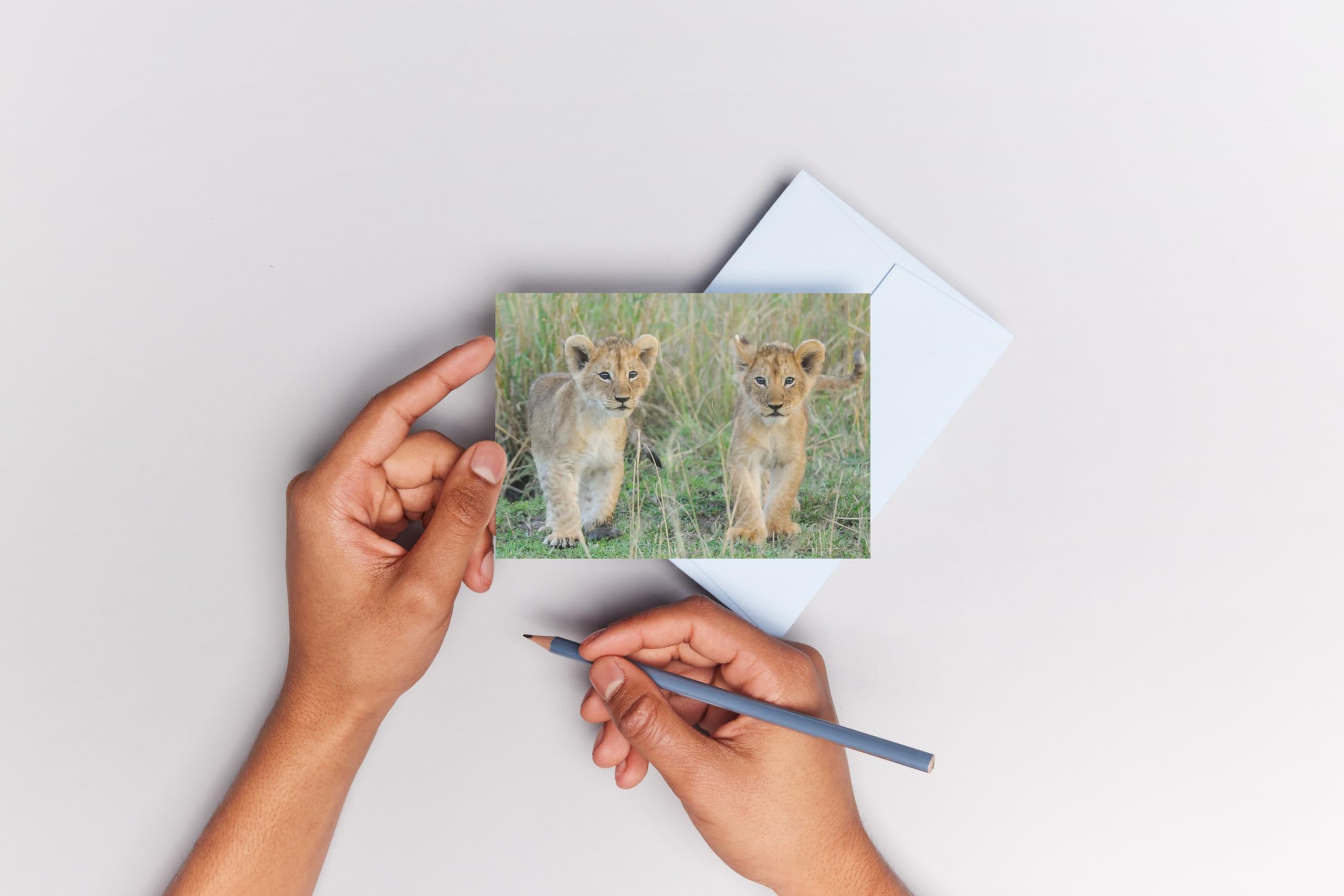 Lot De 7 Cartes Postales Lenticulaires 3D Bébés Animaux - Panda, Chimpanzé, Chat, Lion, Guépard, Chien Par Edition Colibri